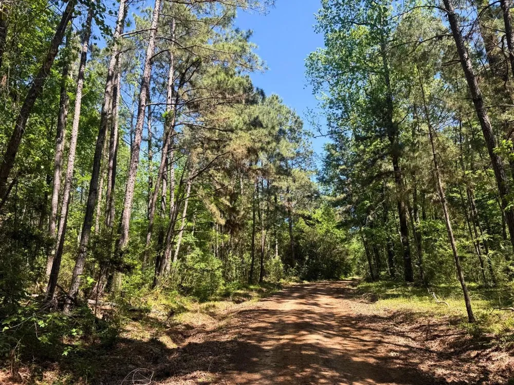 Hwy 150 Coldspring, TX 77331
