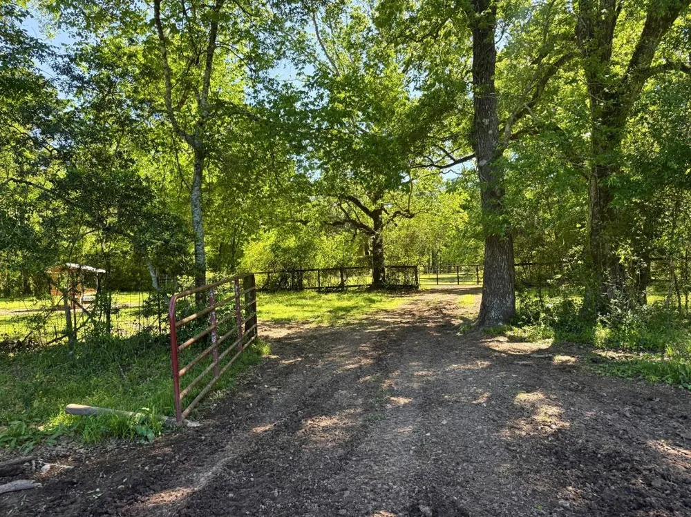 Hwy 150 Coldspring, TX 77331