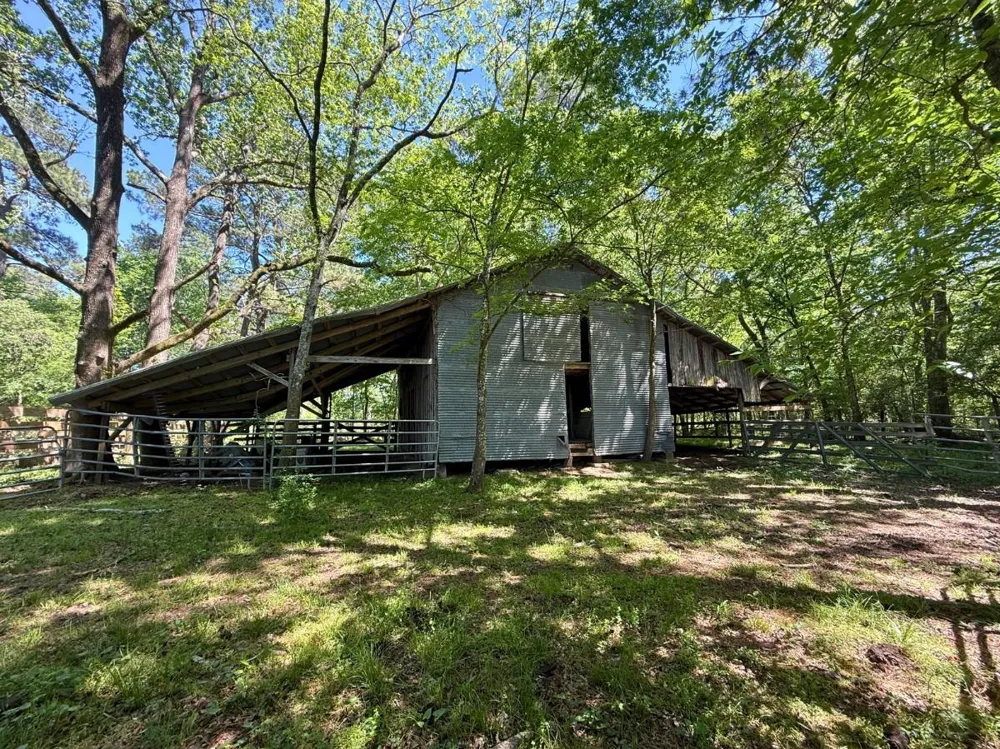 Hwy 150 Coldspring, TX 77331