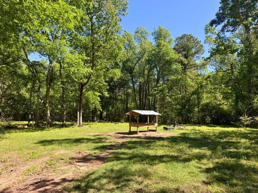 Hwy 150 Coldspring, TX 77331