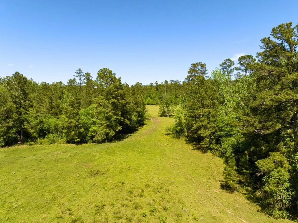 Hwy 150 Coldspring, TX 77331