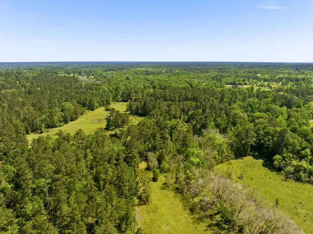 Hwy 150 Coldspring, TX 77331