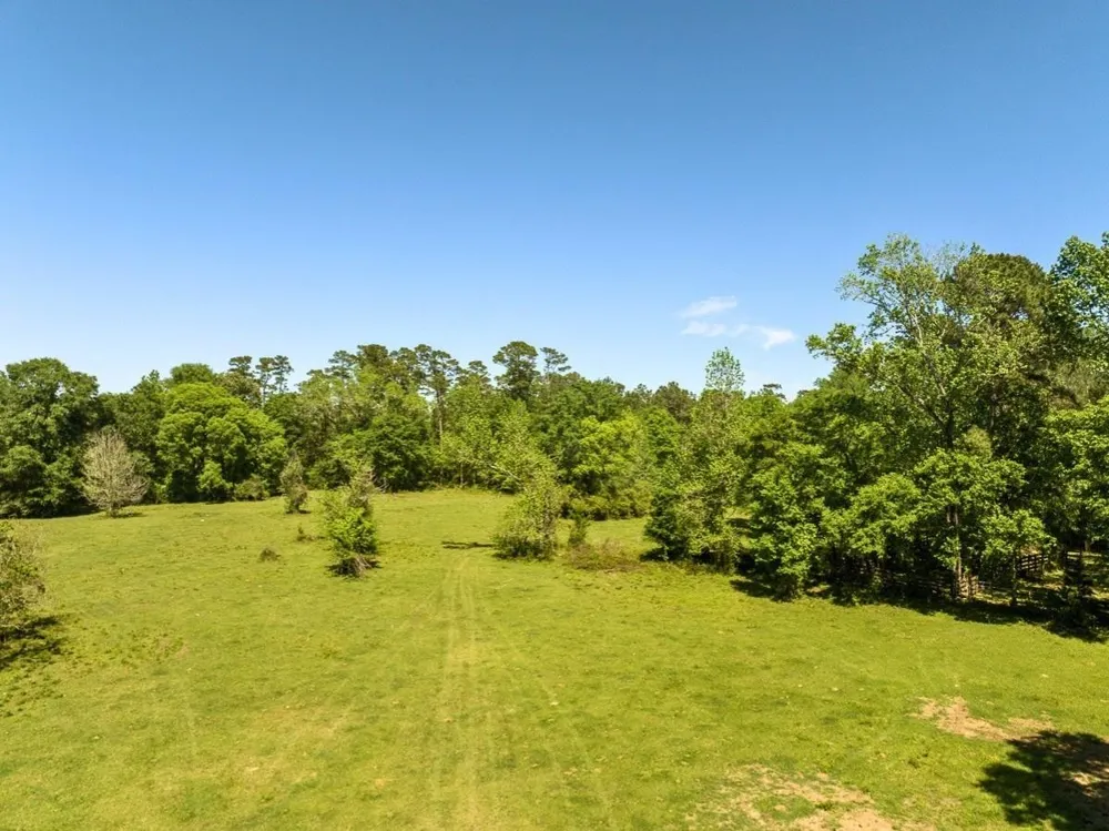 Hwy 150 Coldspring, TX 77331