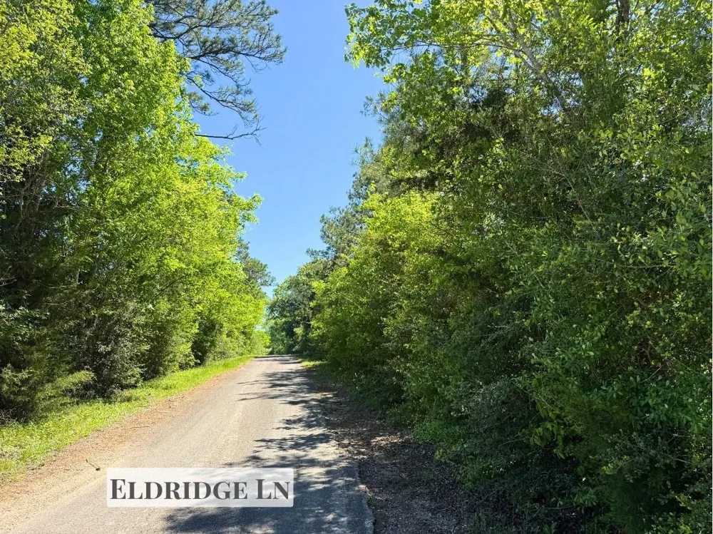 Hwy 150 Coldspring, TX 77331