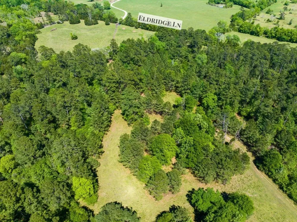 Hwy 150 Coldspring, TX 77331