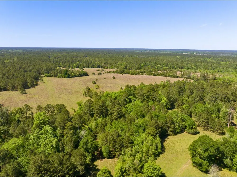 Hwy 150 Coldspring, TX 77331