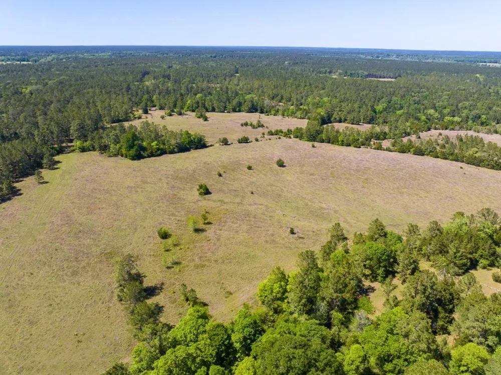 Hwy 150 Coldspring, TX 77331
