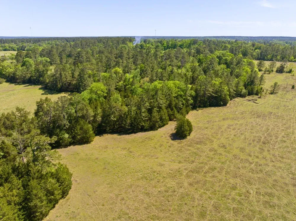 Hwy 150 Coldspring, TX 77331