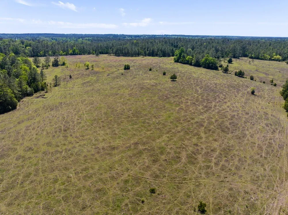 Hwy 150 Coldspring, TX 77331
