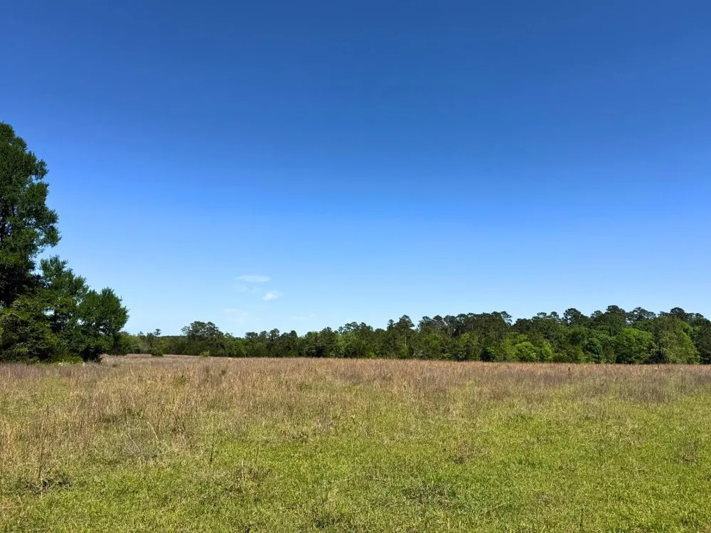 Hwy 150 Coldspring, TX 77331