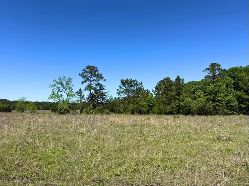 Hwy 150 Coldspring, TX 77331