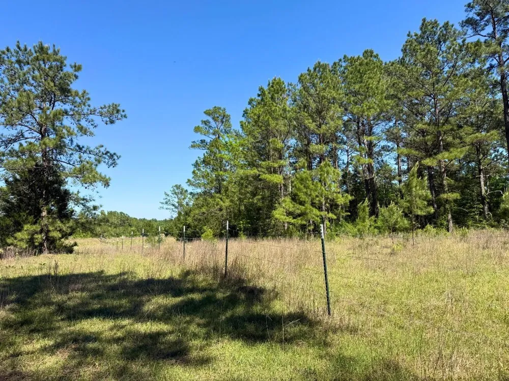 Hwy 150 Coldspring, TX 77331