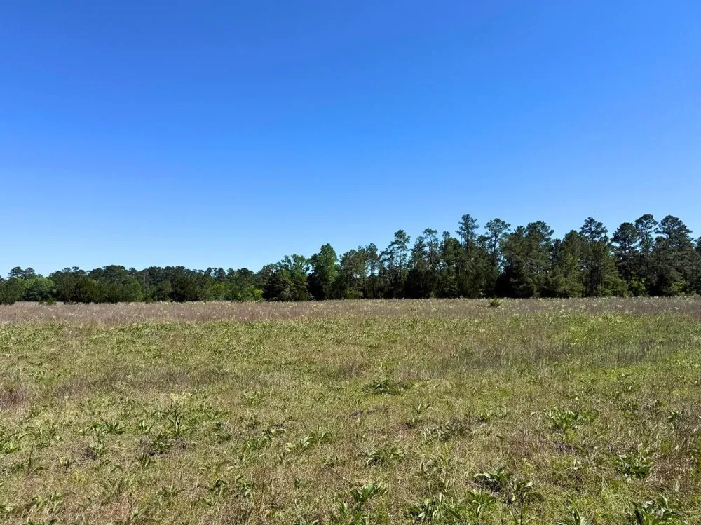 Hwy 150 Coldspring, TX 77331