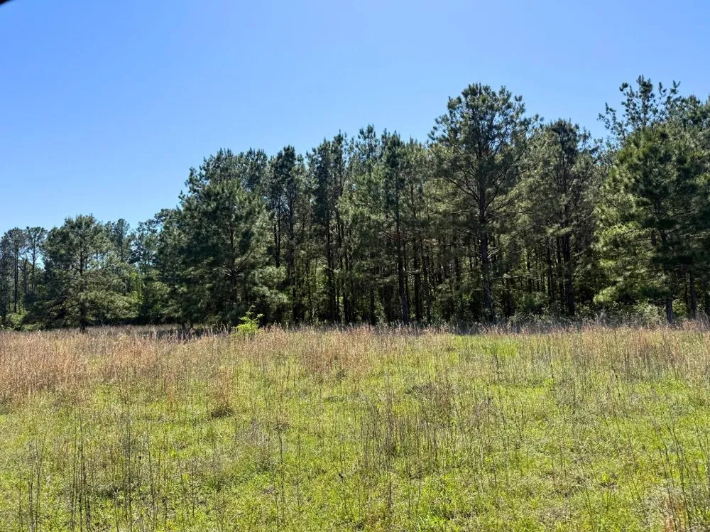Hwy 150 Coldspring, TX 77331