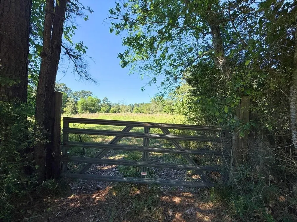 Hwy 150 Coldspring, TX 77331