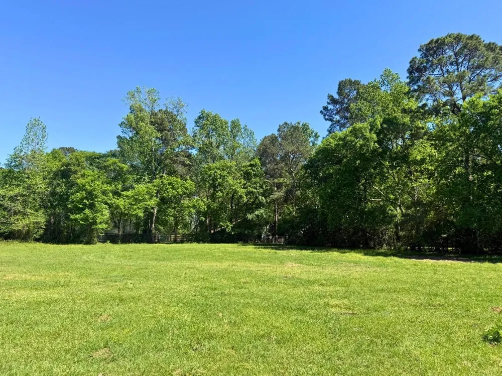 Hwy 150 Coldspring, TX 77331