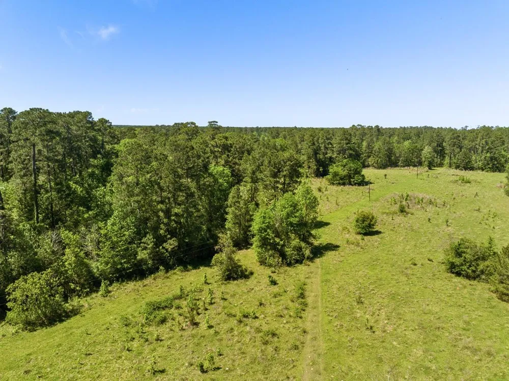 Hwy 150 Coldspring, TX 77331