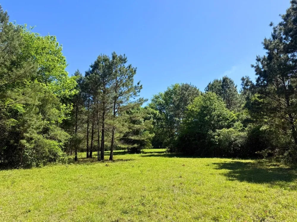 Hwy 150 Coldspring, TX 77331