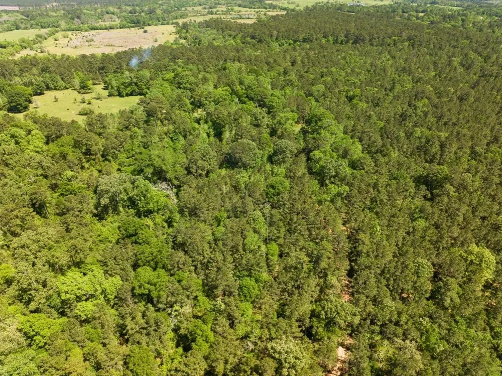 Hwy 150 Coldspring, TX 77331