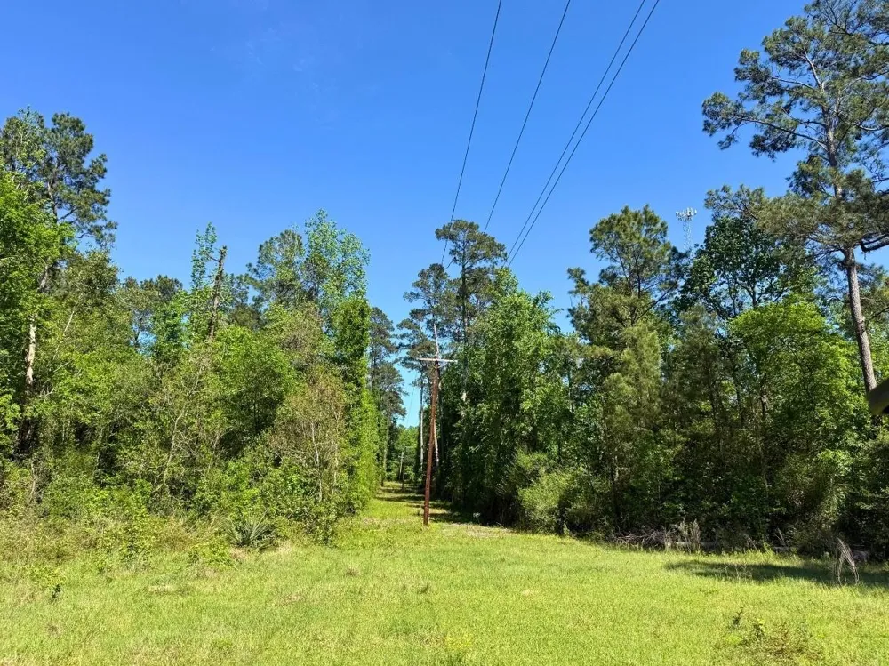 Hwy 150 Coldspring, TX 77331