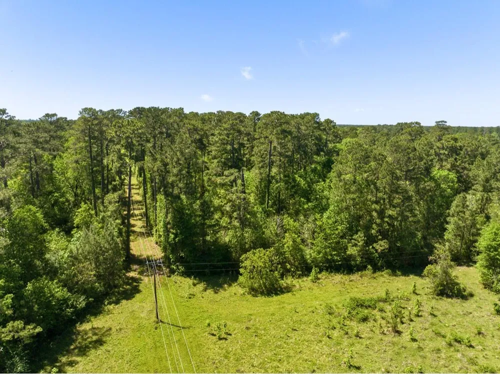 Hwy 150 Coldspring, TX 77331