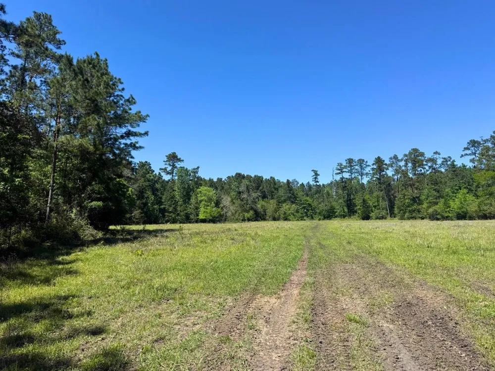Hwy 150 Coldspring, TX 77331