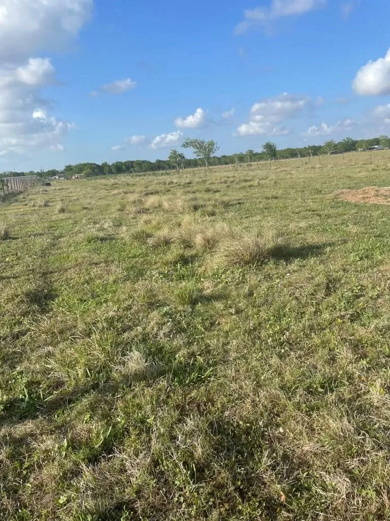 1010 County Road 595 Drive Angleton, TX 77515