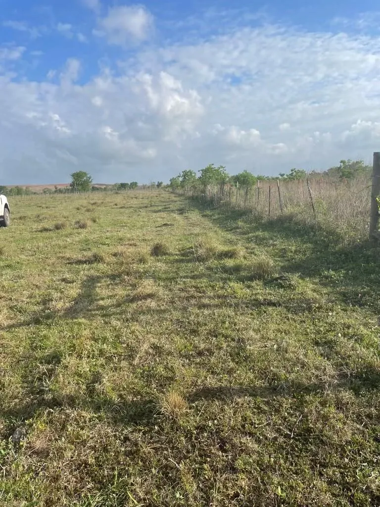 1010 County Road 595 Drive Angleton, TX 77515