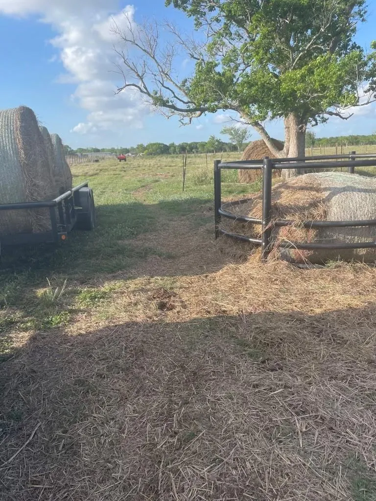 1010 County Road 595 Drive Angleton, TX 77515