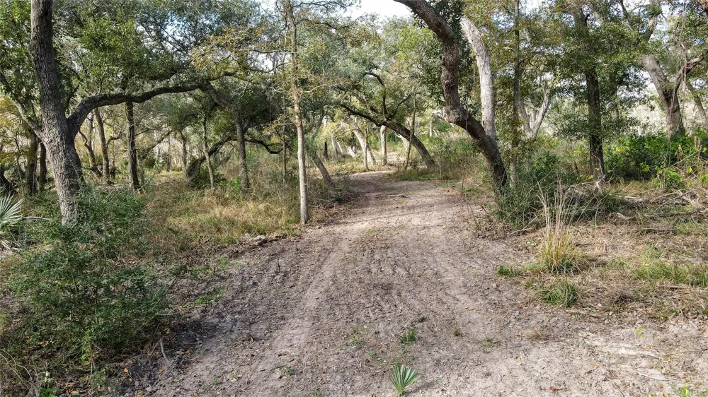 County Road 461 Palacios, TX 77465