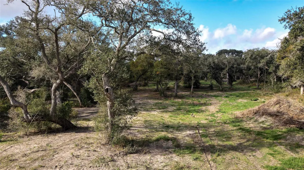 County Road 461 Palacios, TX 77465