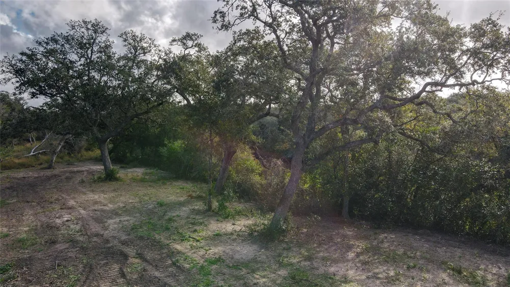 County Road 461 Palacios, TX 77465