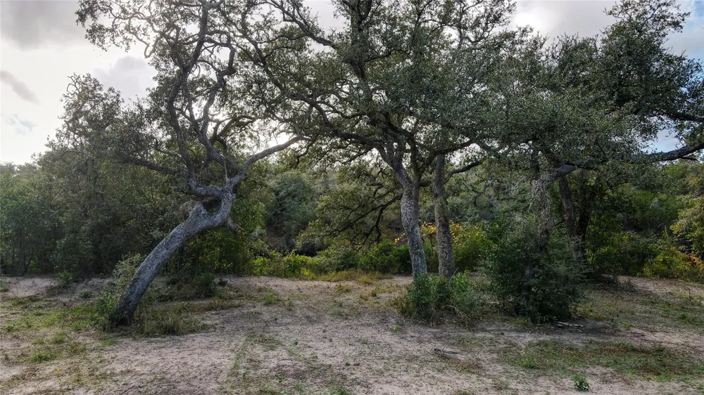 County Road 461 Palacios, TX 77465