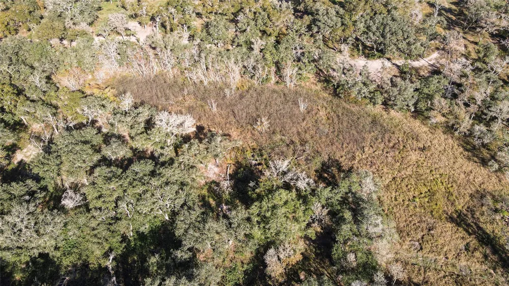 County Road 461 Palacios, TX 77465