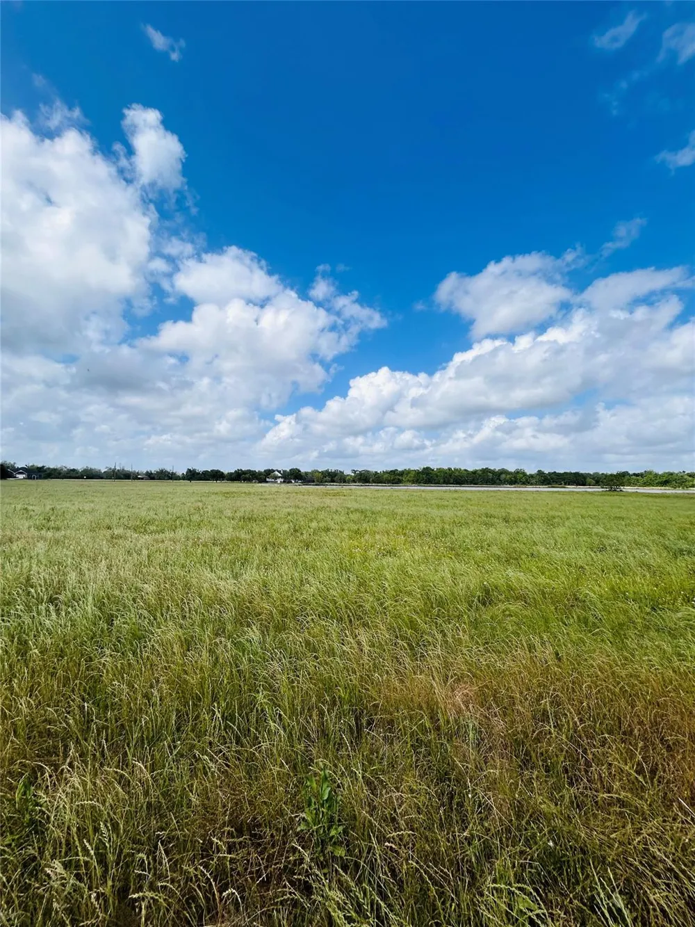 Conestoga Trail Angleton, TX 77515