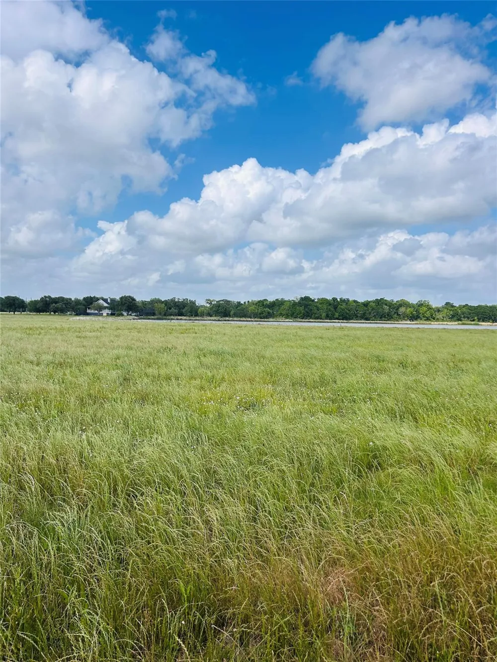 Conestoga Trail Angleton, TX 77515