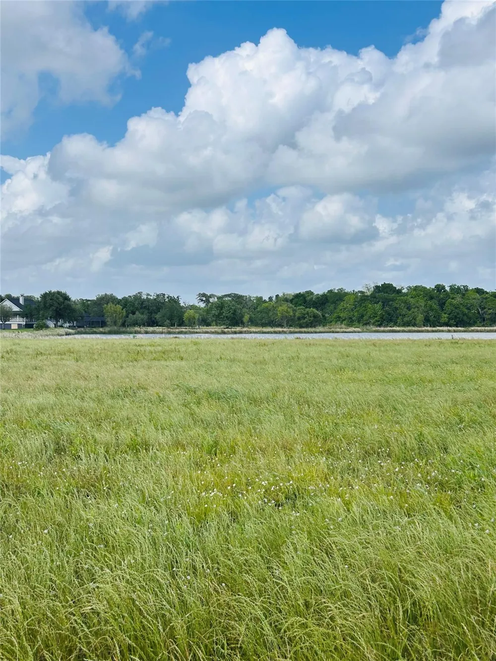 Conestoga Trail Angleton, TX 77515