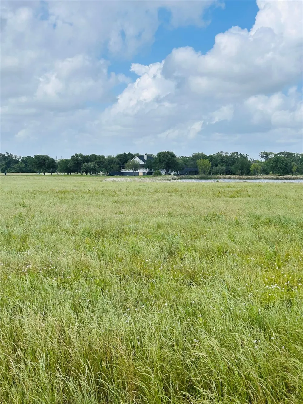 Conestoga Trail Angleton, TX 77515