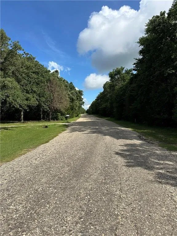 1172 Lcr 892 Jewett, TX 75846