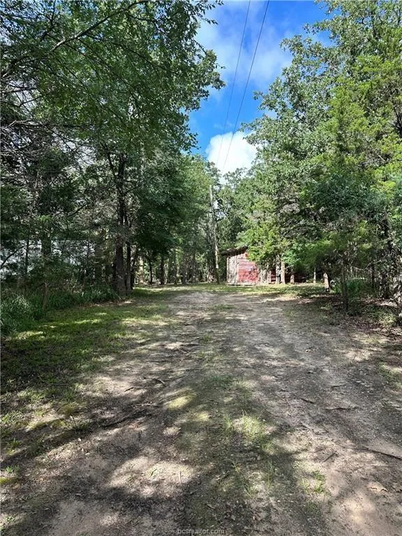 1172 Lcr 892 Jewett, TX 75846