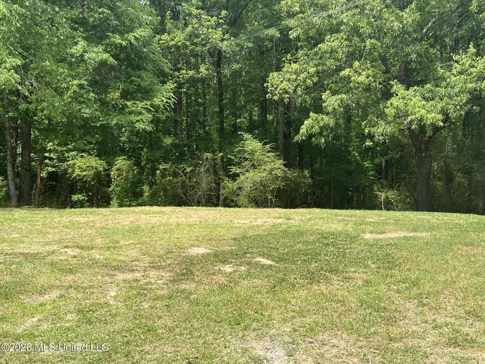1846 Loring Road Camden, MS 39045