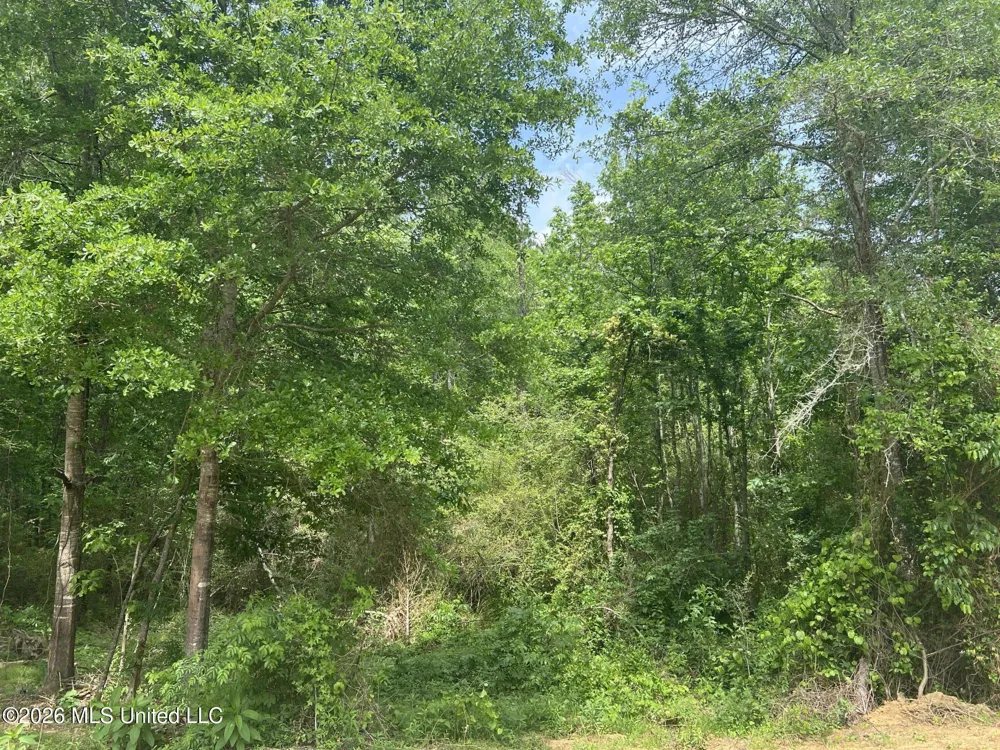 1846 Loring Road Camden, MS 39045