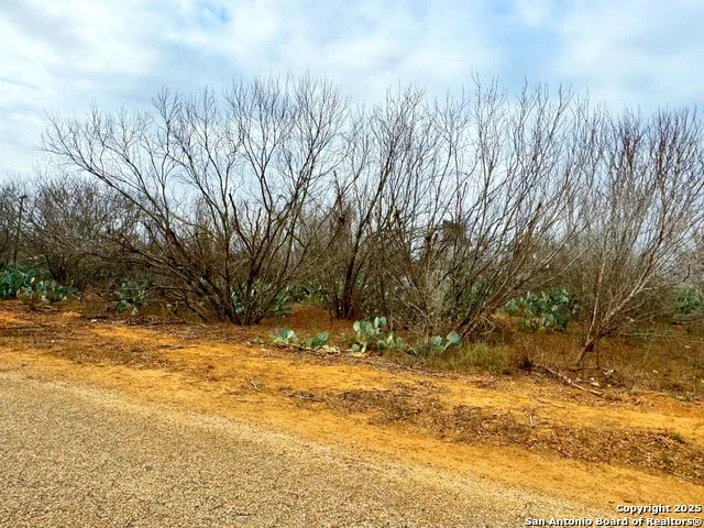 TBD Old Hwy 81 Lot 2 Moore, TX 78057