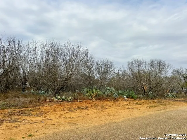 TBD Old Hwy 81 Lot 2 Moore, TX 78057
