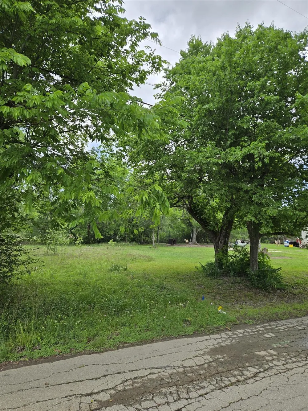 1340 Sauls Street Navasota, TX 77868