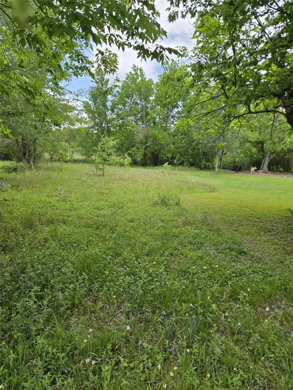 1340 Sauls Street Navasota, TX 77868