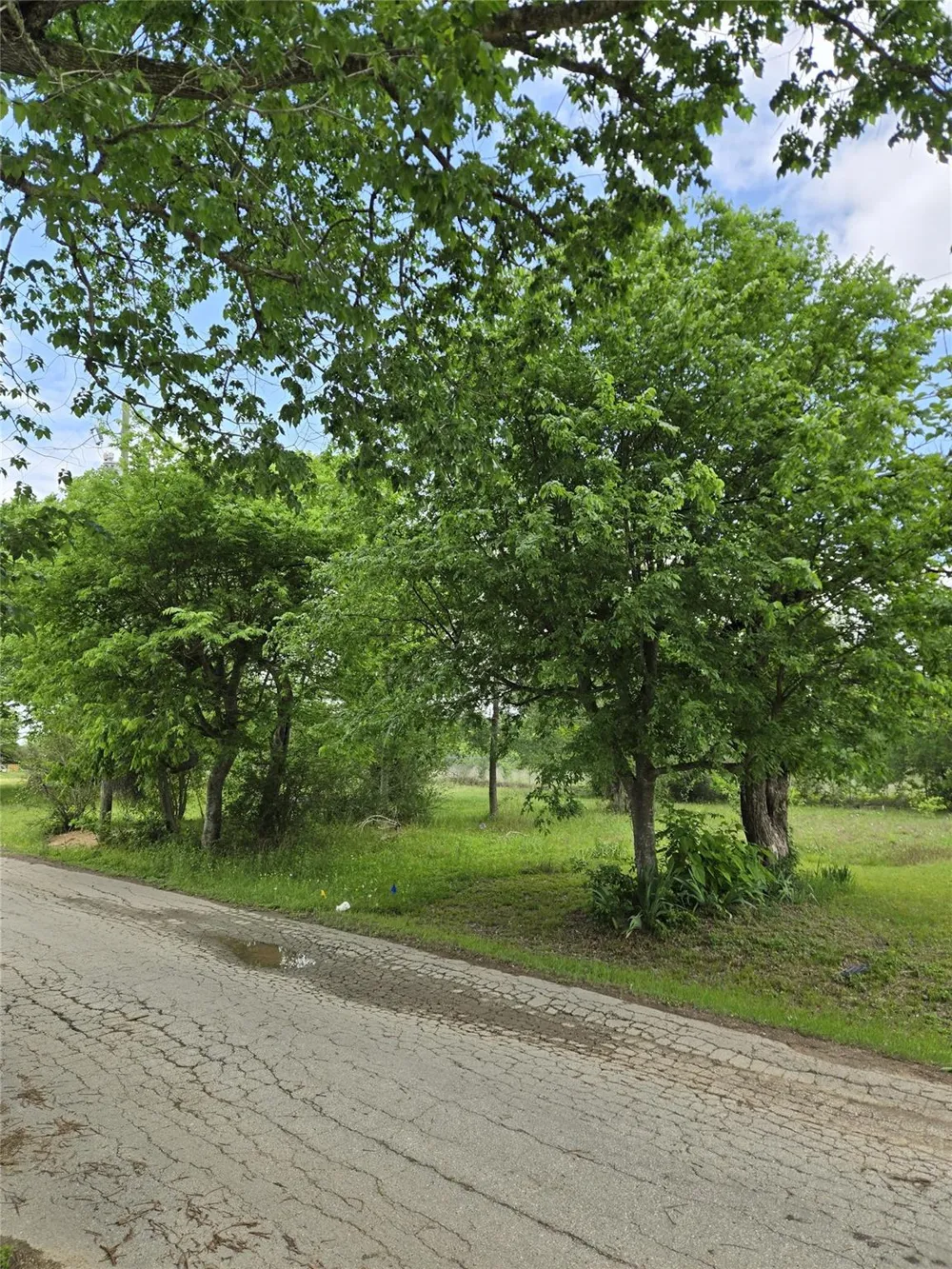 1340 Sauls Street Navasota, TX 77868
