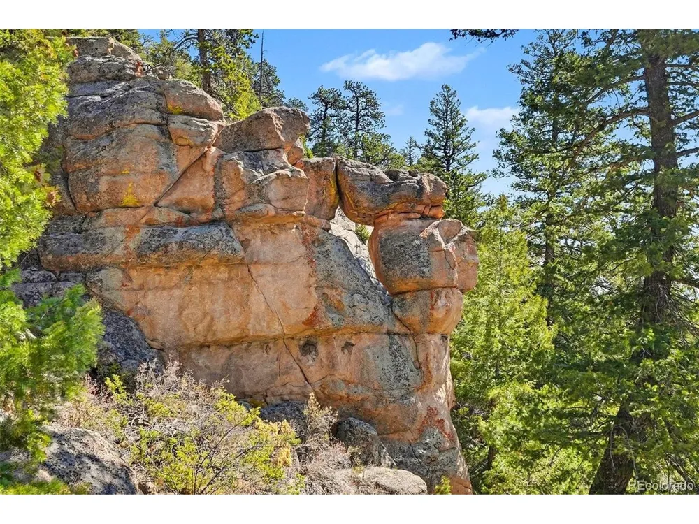 30851 Pike View Drive Conifer, CO 80433