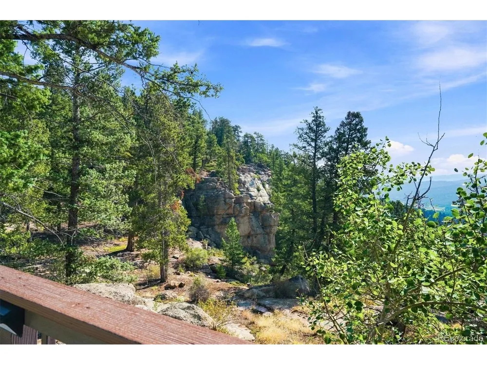 30851 Pike View Drive Conifer, CO 80433