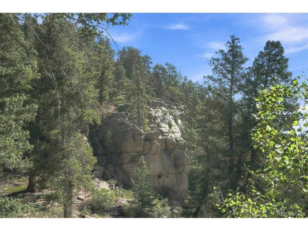 30851 Pike View Drive Conifer, CO 80433